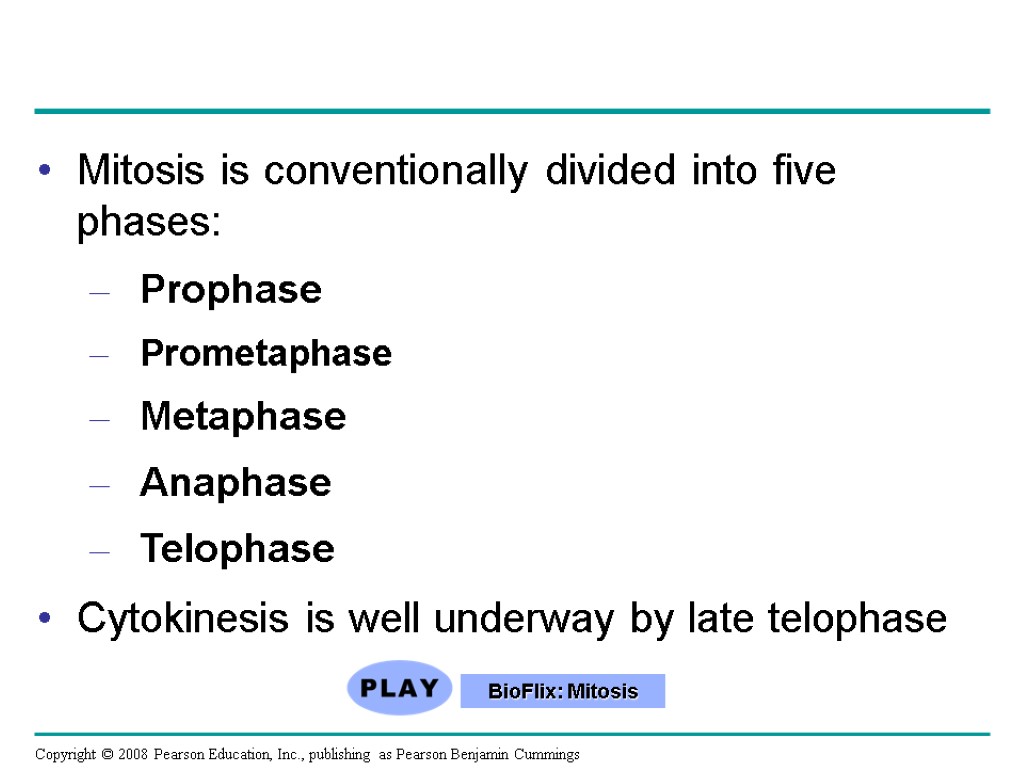 Mitosis is conventionally divided into five phases: Prophase Prometaphase Metaphase Anaphase Telophase Cytokinesis is